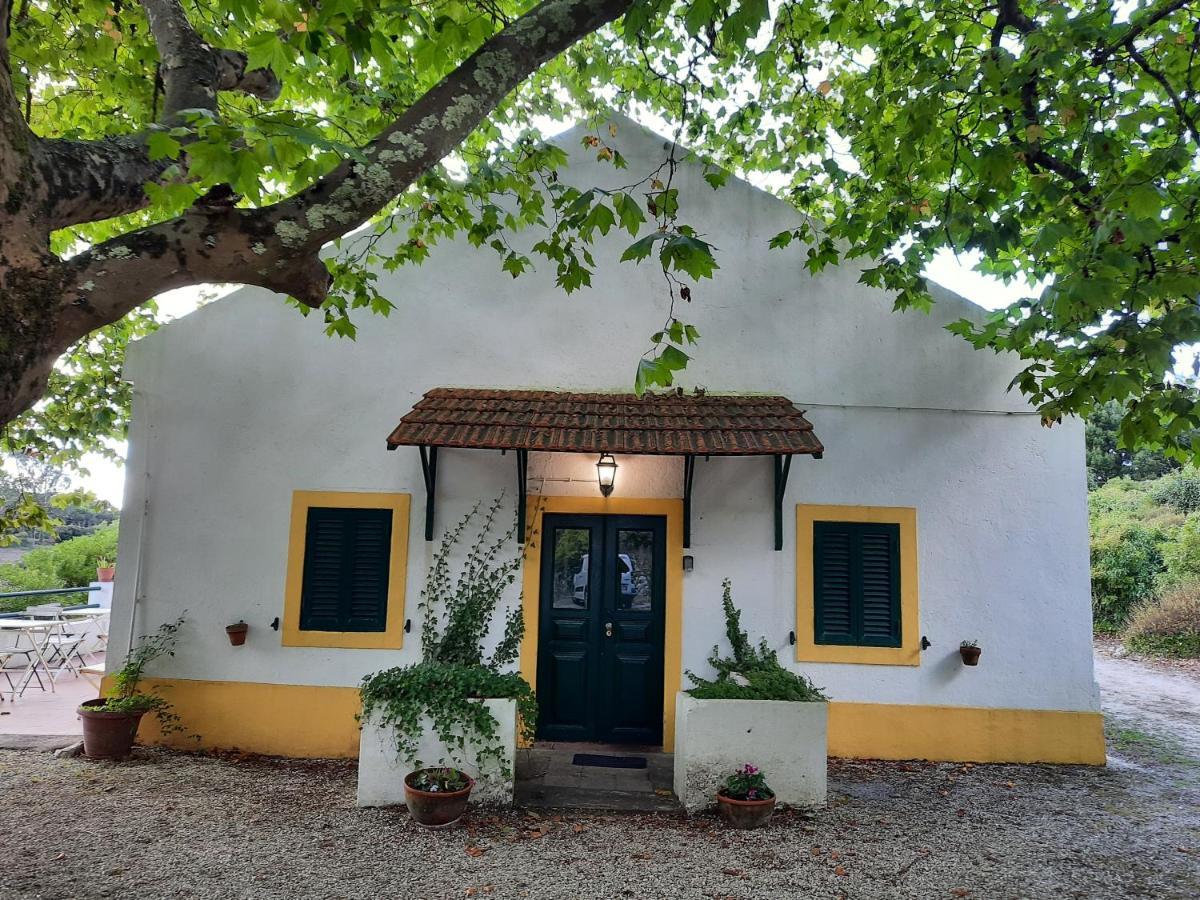 Montejunto Villas - Casa do Plátano Cadaval Esterno foto