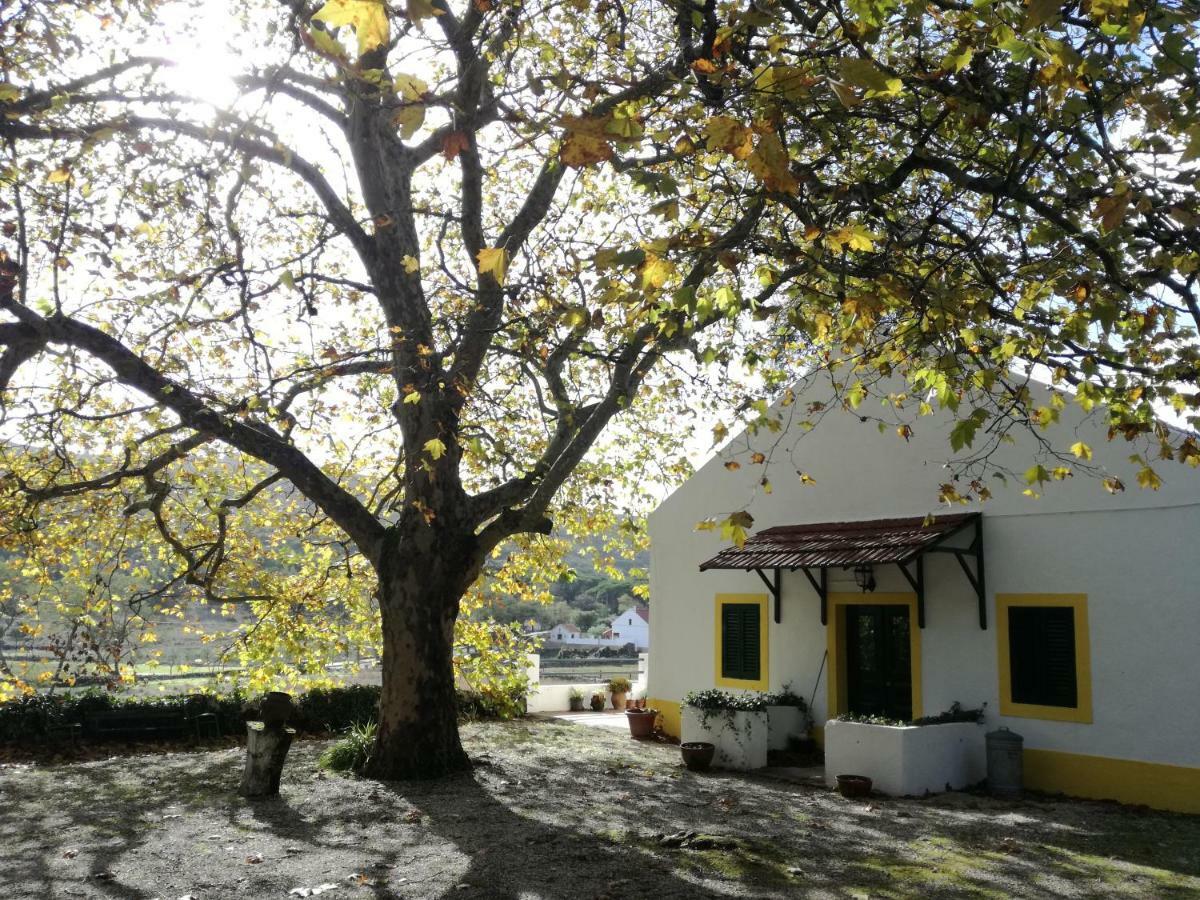 Montejunto Villas - Casa do Plátano Cadaval Esterno foto