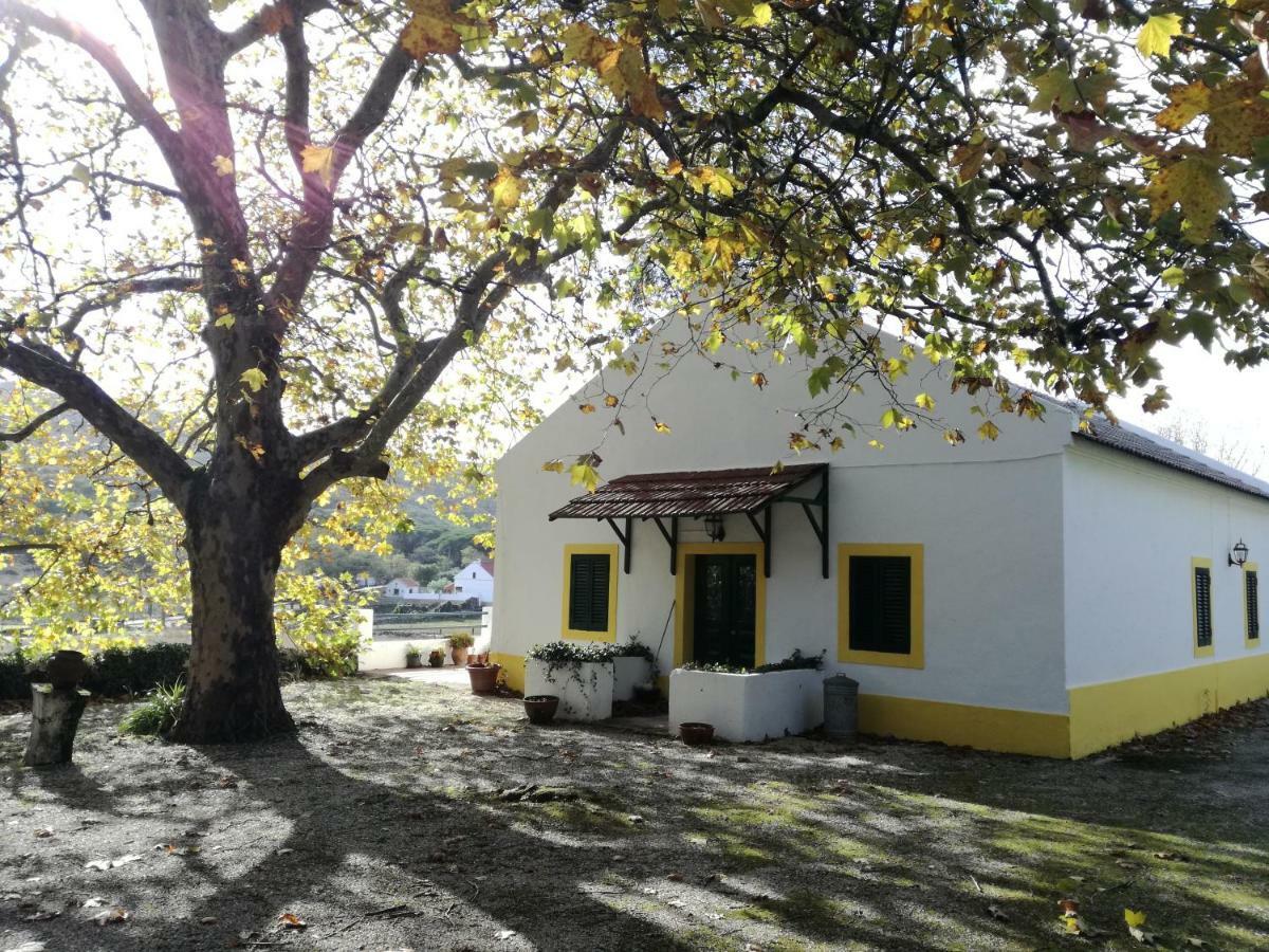 Montejunto Villas - Casa do Plátano Cadaval Esterno foto