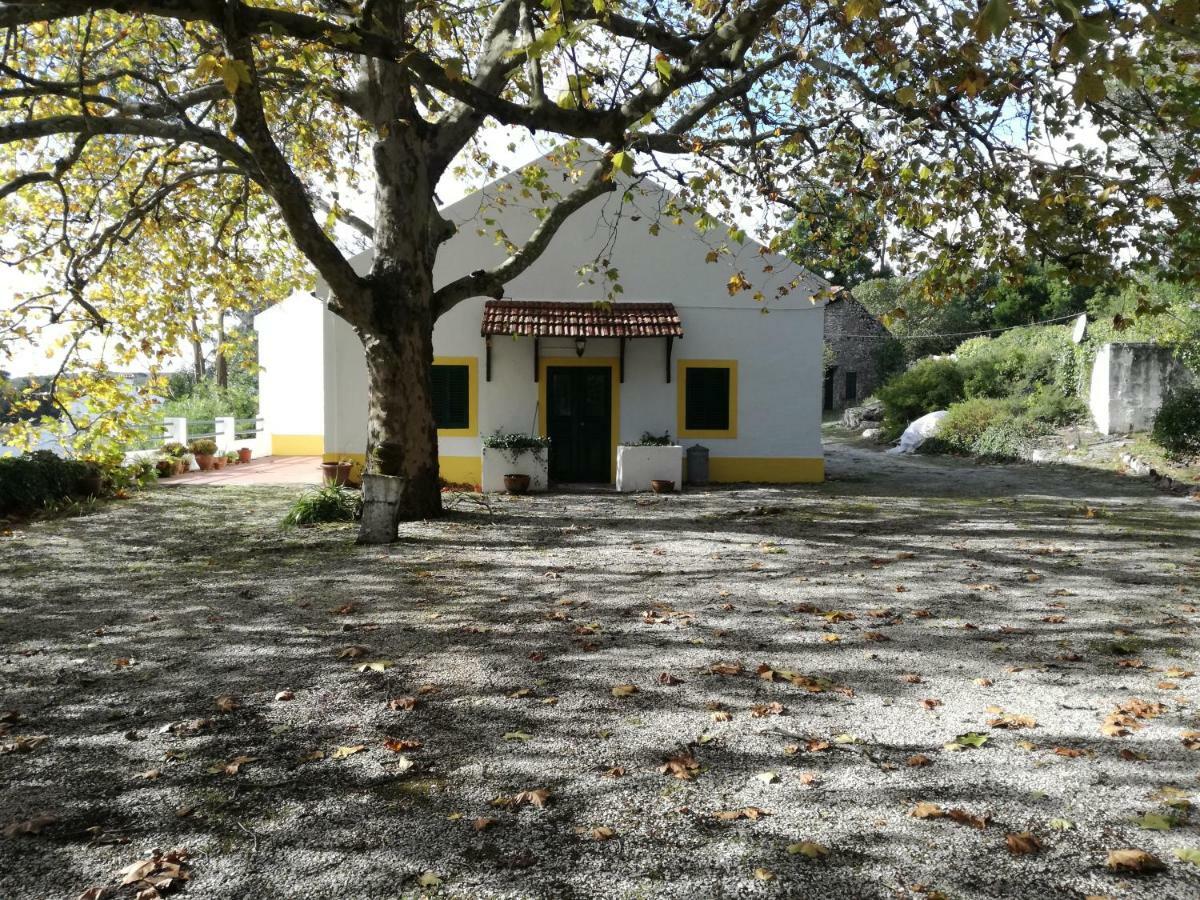 Montejunto Villas - Casa do Plátano Cadaval Esterno foto