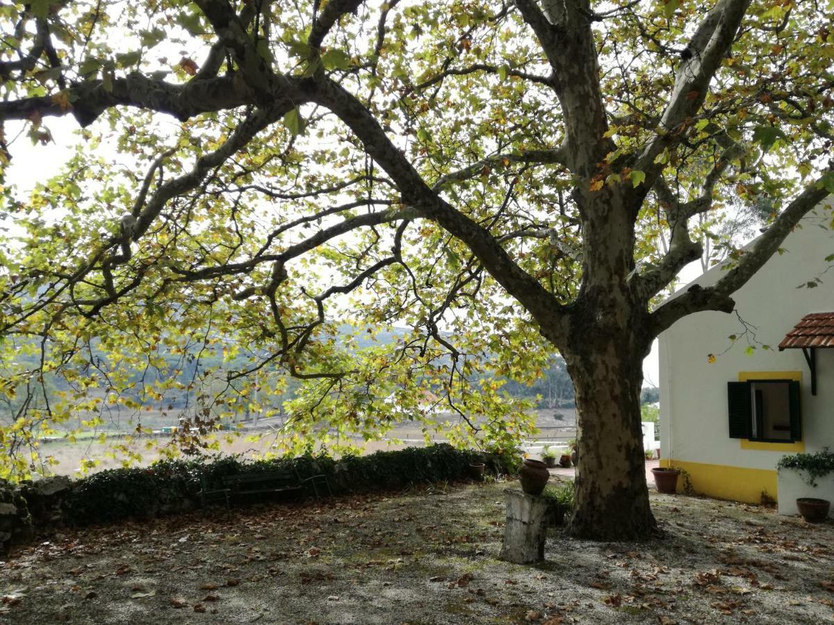 Montejunto Villas - Casa do Plátano Cadaval Esterno foto